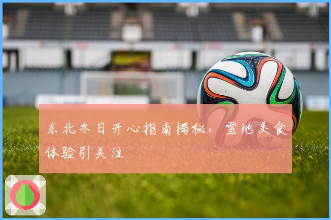 东北冬日开心指南揭秘，雪地美食体验引关注