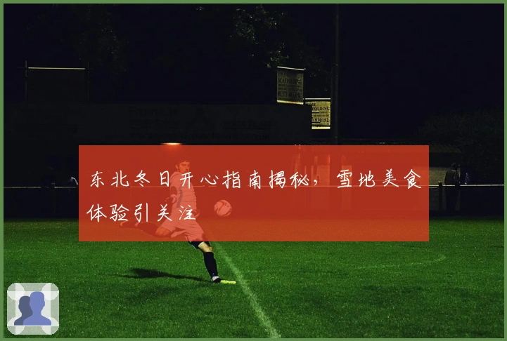 东北冬日开心指南揭秘，雪地美食体验引关注