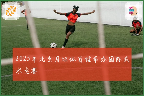 2025年北京月坛体育馆举办国际武术竞赛